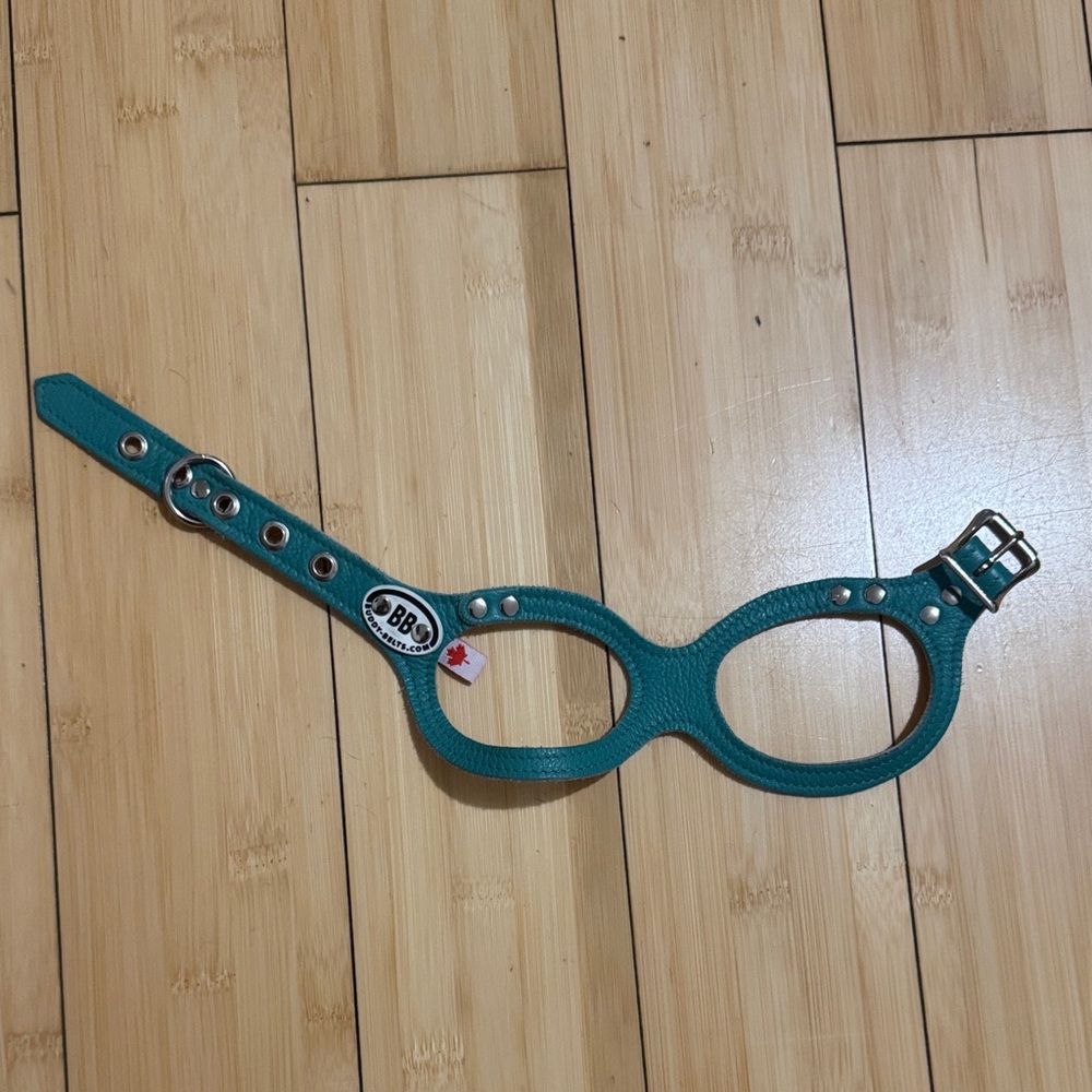 Teal Dog Harness with Adjustable Straps